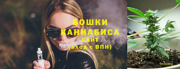 бошки Ельня