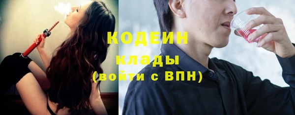 дмт Елабуга