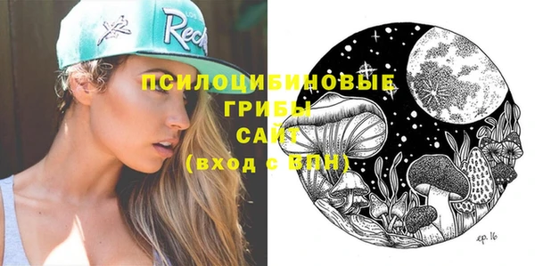 дмт Елабуга