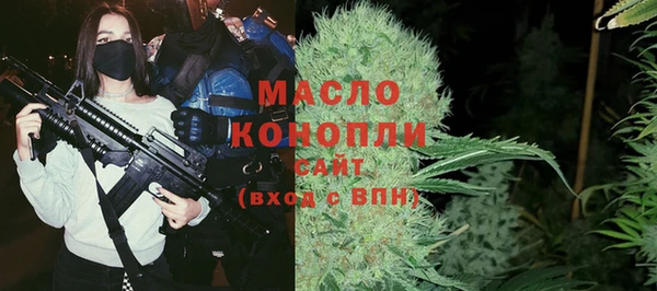 бошки Ельня