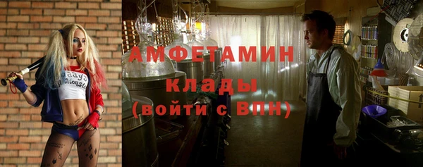 бошки Ельня