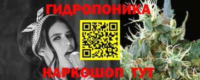 эйфоретик Обнинск