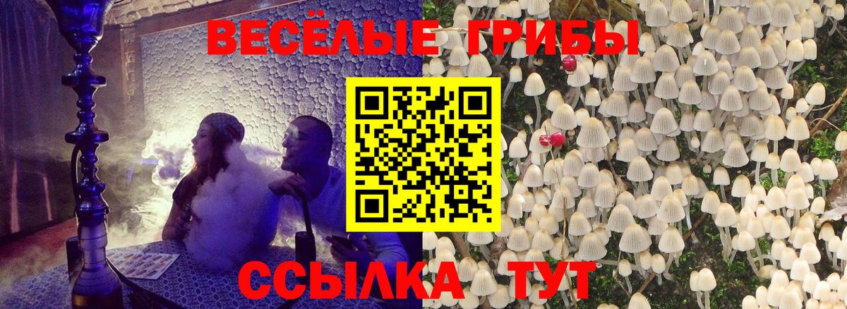Галлюциногенные грибы GOLDEN TEACHER Отрадный